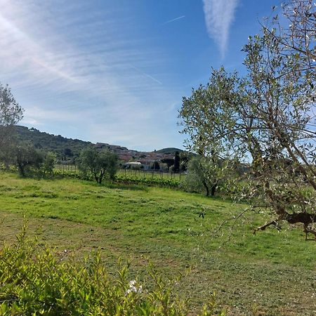 Vento E Mare Bed & Breakfast Riotorto Eksteriør bilde