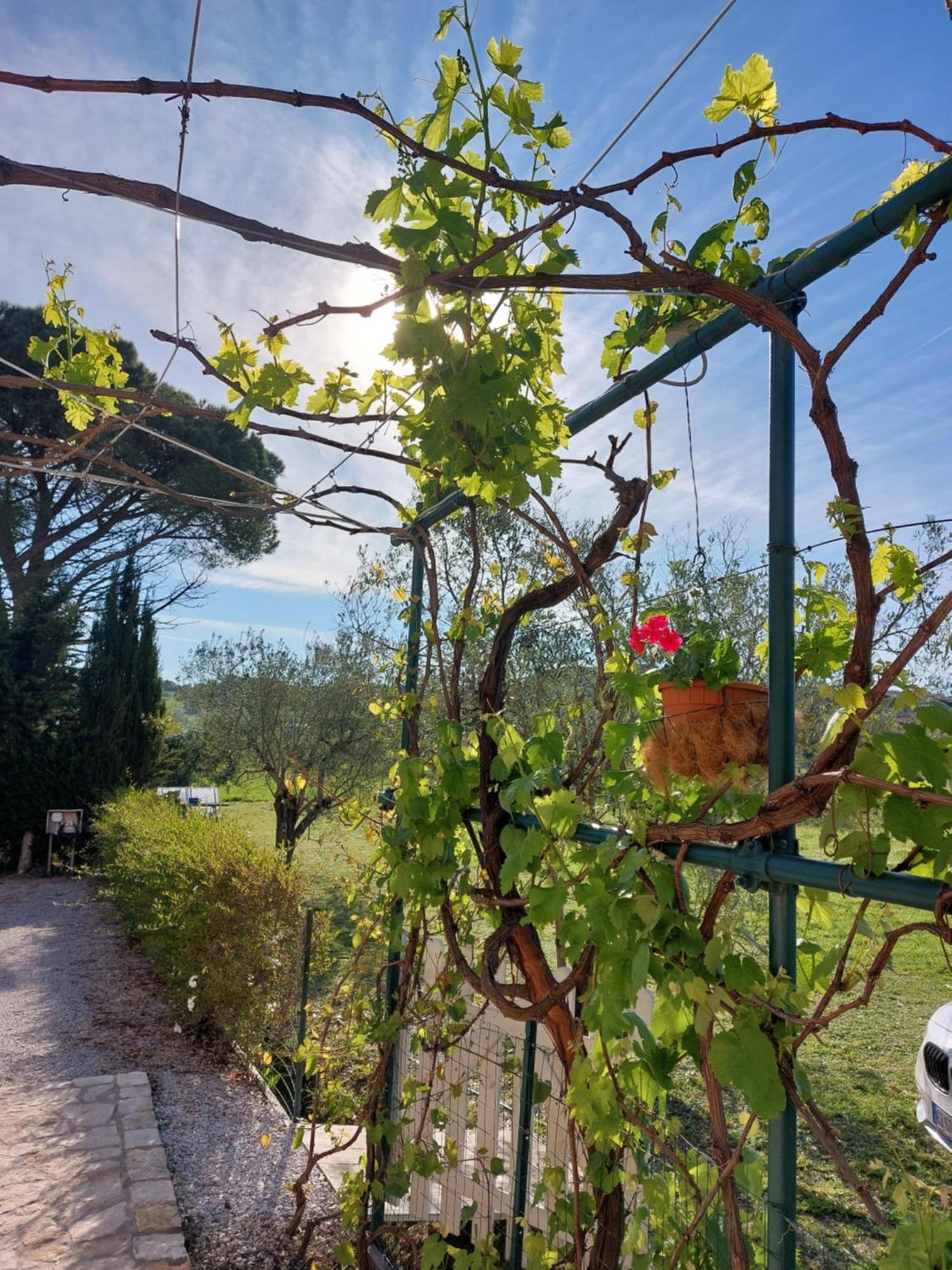 Vento E Mare Bed & Breakfast Riotorto Eksteriør bilde