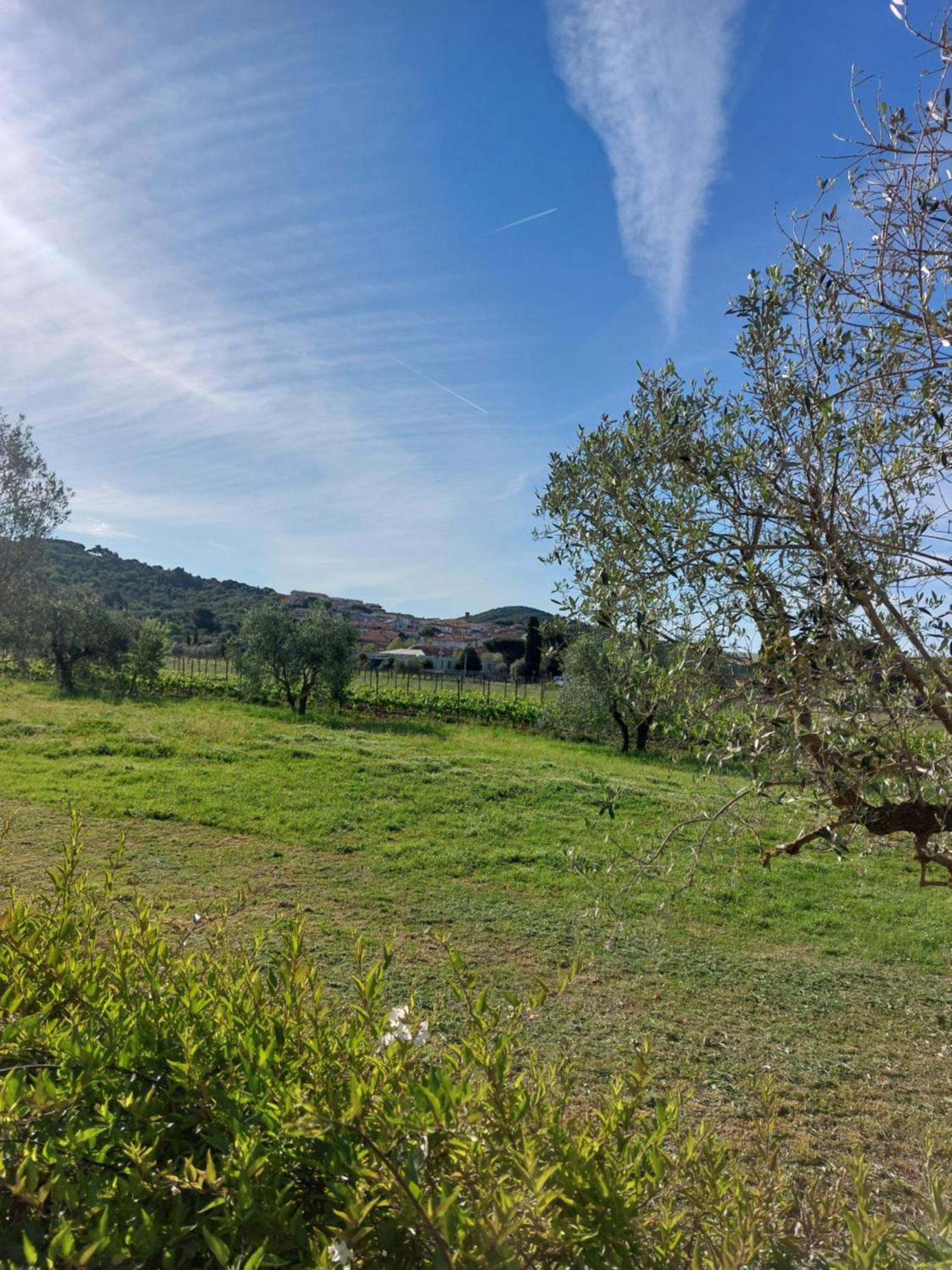 Vento E Mare Bed & Breakfast Riotorto Eksteriør bilde
